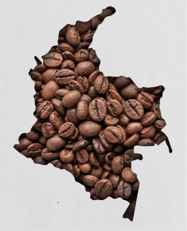 Colombian Tolima Specialty Single Origin Coffee - Cert/Grade: Organic, EP - ROAST: Med